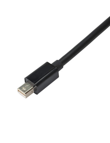 Detaljvy av Mini DisplayPort-kontakten på adaptern