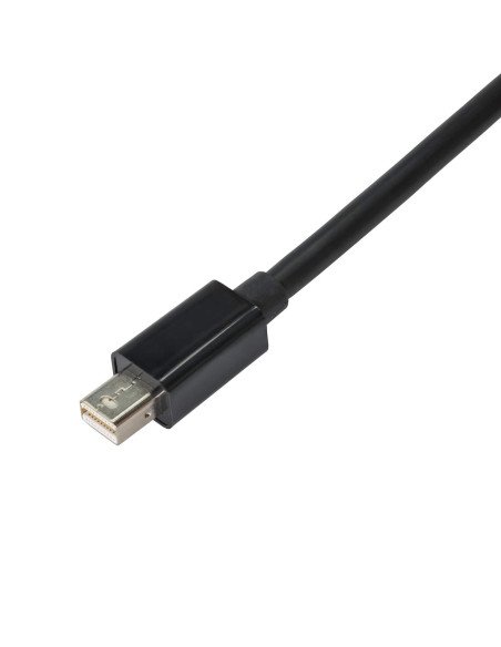Detaljvy av Mini DisplayPort-kontakten på adaptern