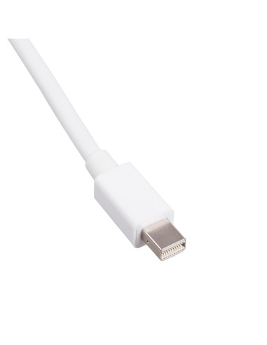 Närbild av Mini DisplayPort-kontakt på signalomvandlare