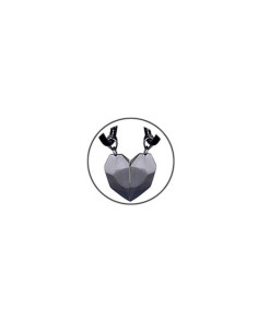 Parhalsband Eternal Promise Hjärta Magnetisk