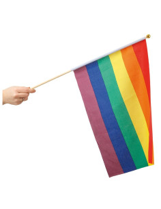 Pride Handflagga 30 x 40 cm